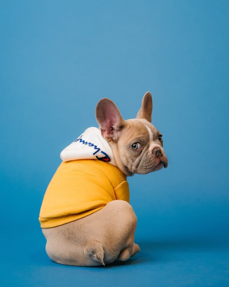 Pet Supplies